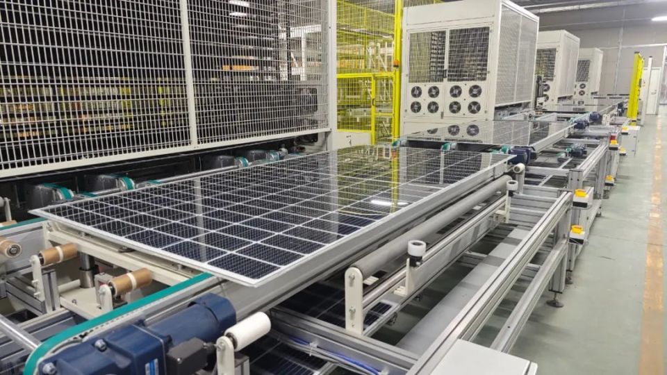 绿色引领发展 协同共创未来 | 英利发展:书写绿色科技创新的"熊猫"