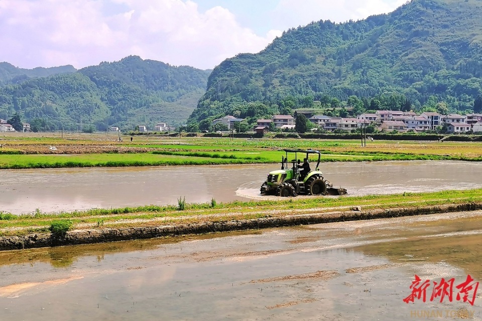 沅陵荔溪乡:山水田园风光好 乡村振兴踏歌行