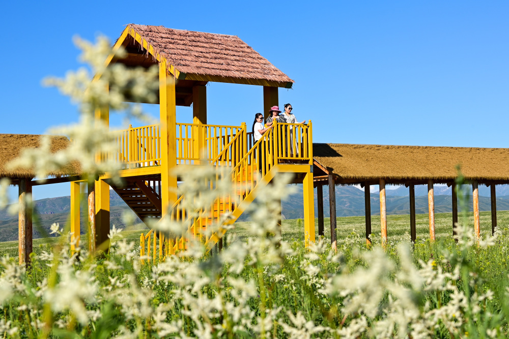 新疆额敏县:多元业态催热乡村游