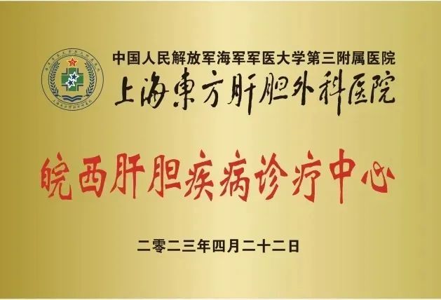 上海东方肝胆外科医院5个专业6位专家大咖来市中医院义诊