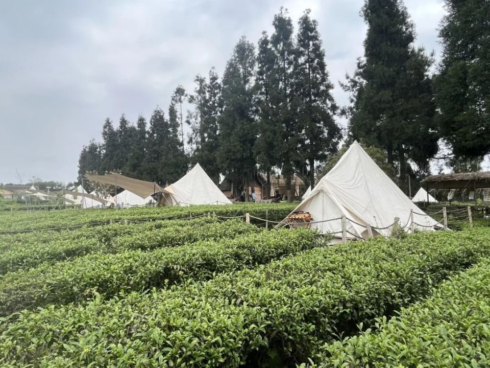 媒体采风团走进开阳县!看山居民宿 享云山茶海_腾讯新闻