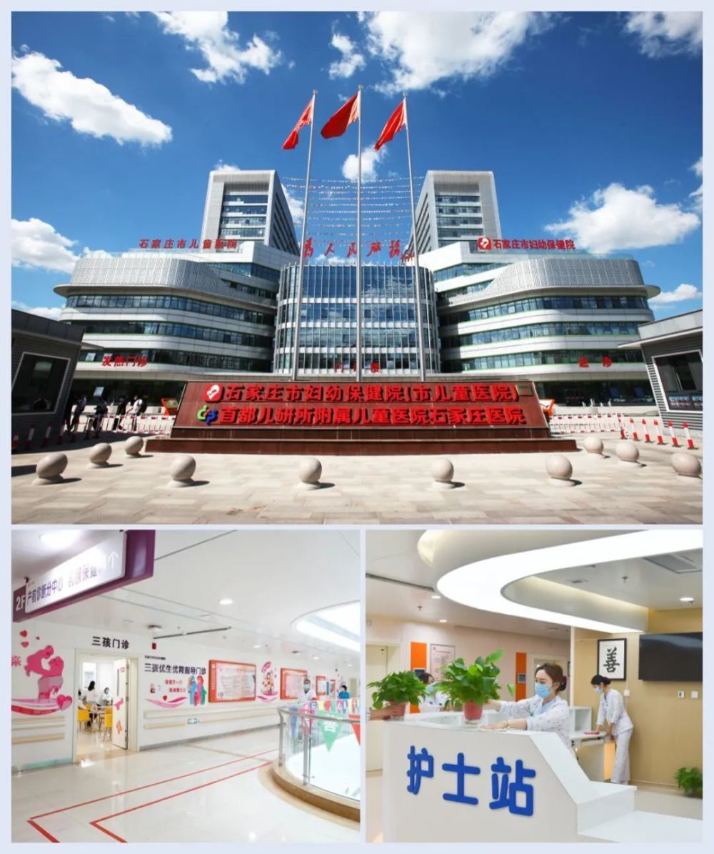 包含首都兒科研究所專家名單跑腿代掛聯系的詞條