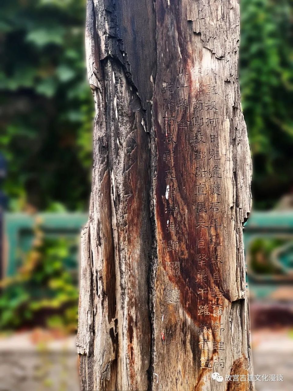 故宫御花园里的三种奇石