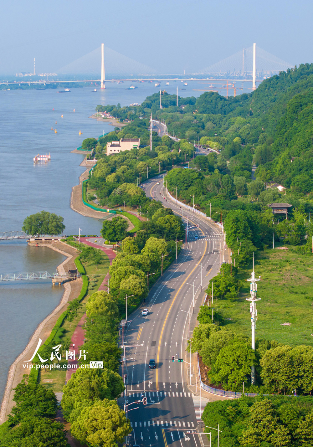 江苏南京:长江岸线生态如画