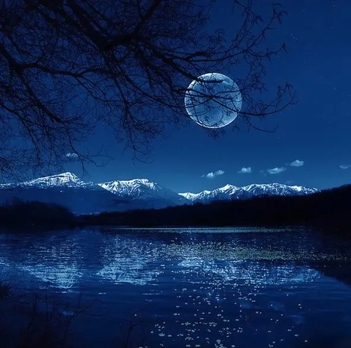 月光月亮海右诗会