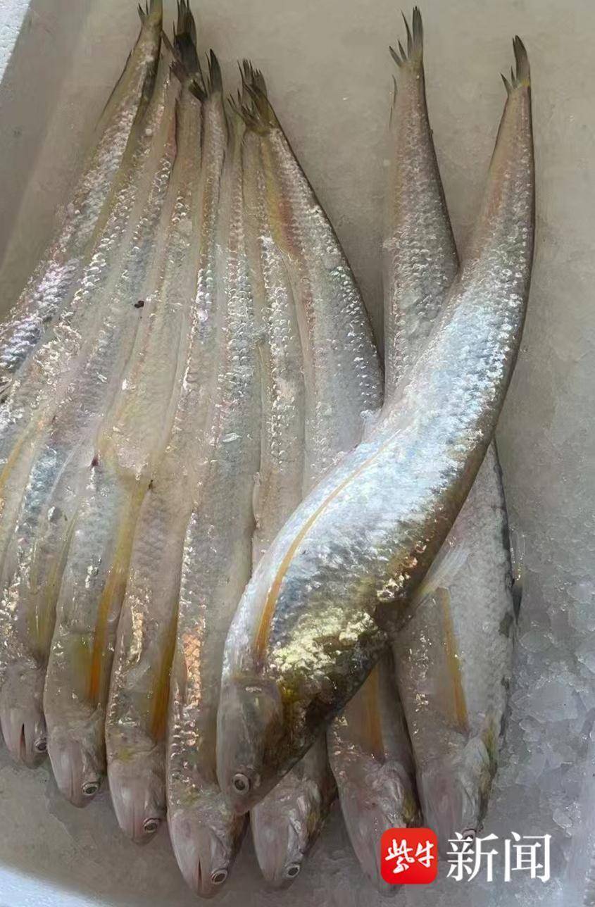水环境越来越好了！镇江运粮河竟有它的身影_腾讯新闻