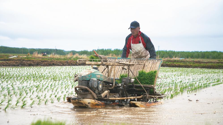67吉林日报|松原市扎实推进春耕生产见闻