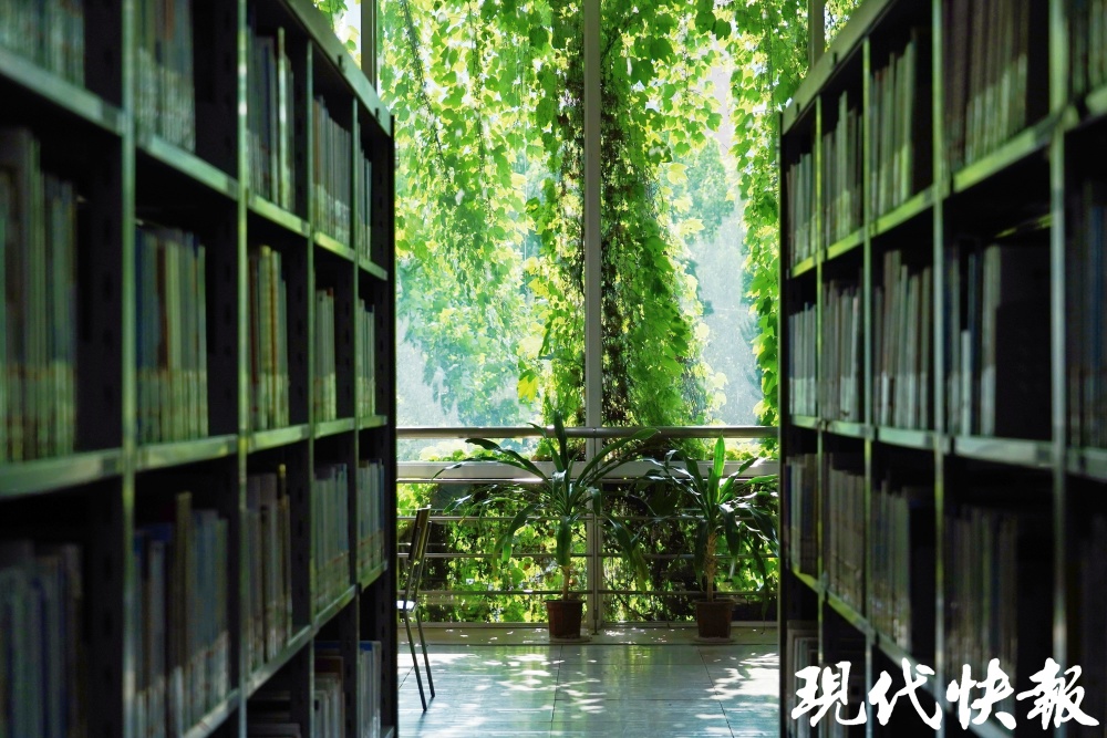 南京图书馆里藏着"绿野仙踪"