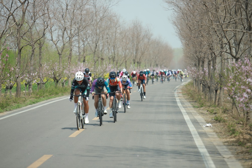 2024年大运河自行车系列赛徐州沛县站暨首届沛县自行车邀请赛完美收官