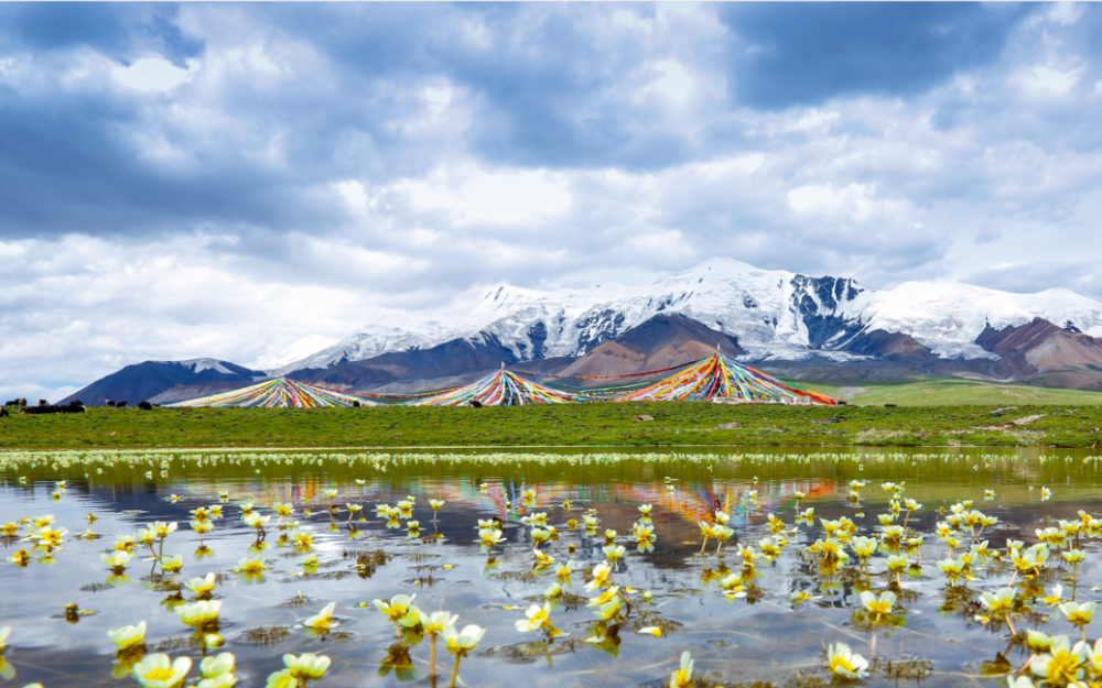 用"  - ×÷ "的方式解锁春日青海,有点儿意思!_腾讯新闻