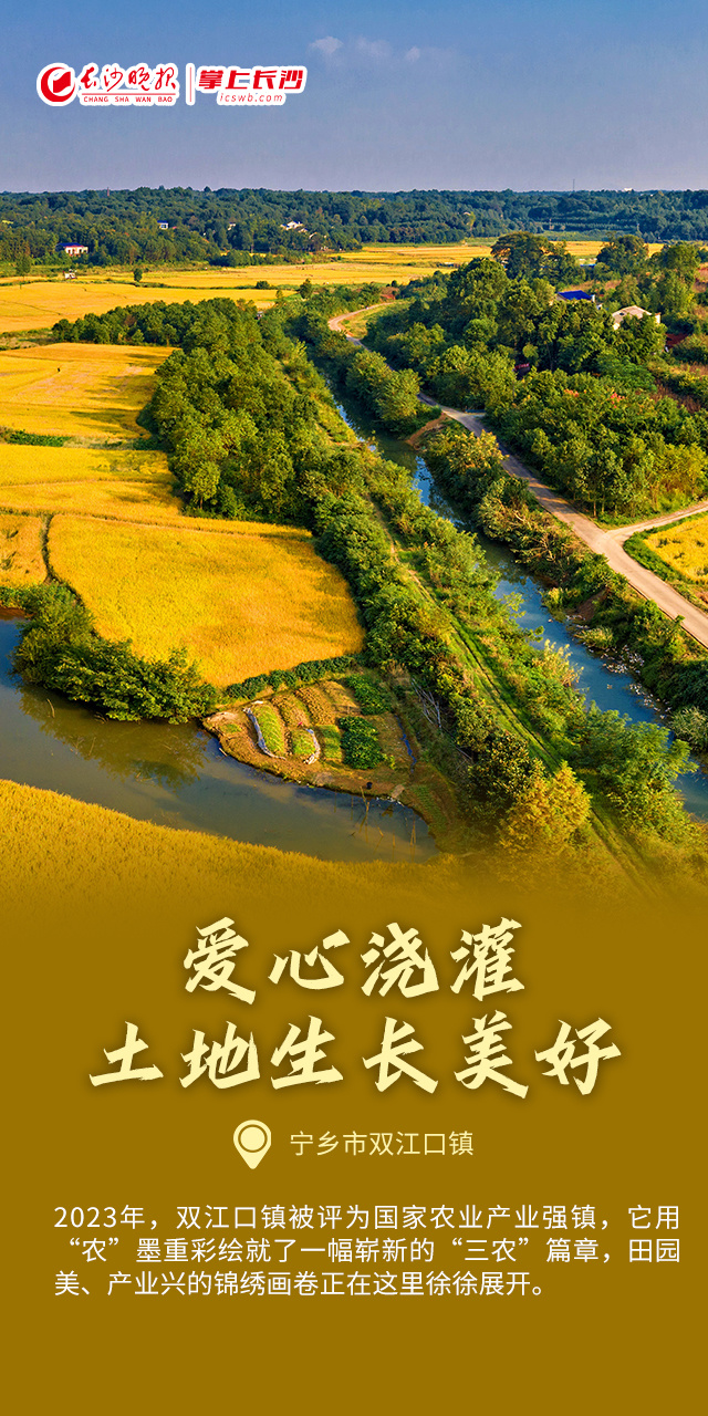 海报丨这些奇迹，让我们相信土地的力量-腾讯新闻