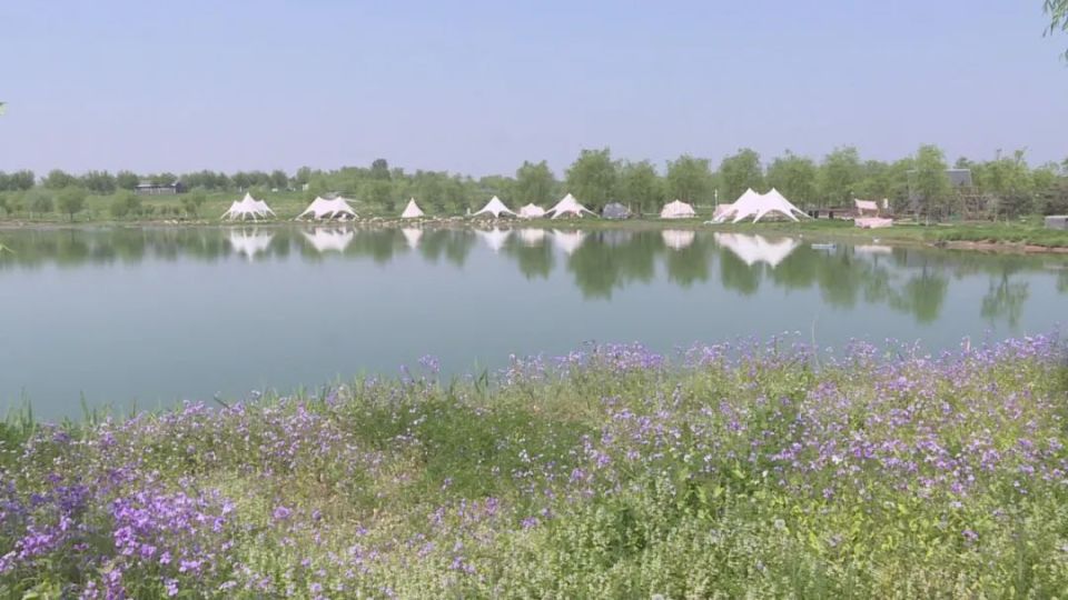 石家庄藁城廉州云湖景区:赏春日美景 体验露营乐趣