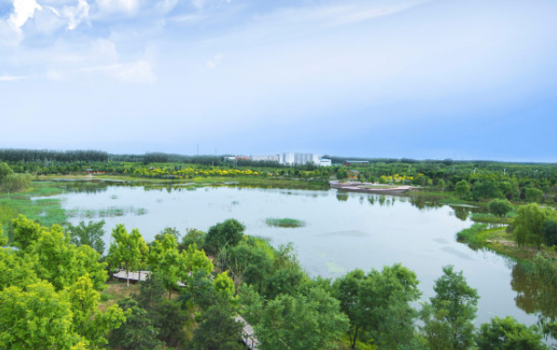 北京通州东郊森林公园明起闭园