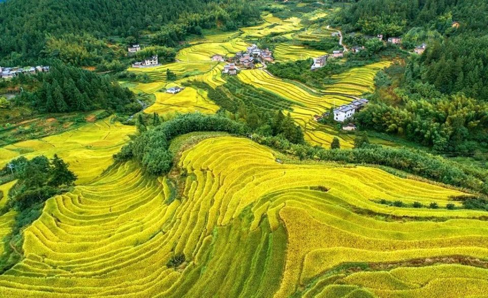 青娥山,又名大岭山,青娥仙,位于桂东县寨前镇,四都镇交界处,海拔1882