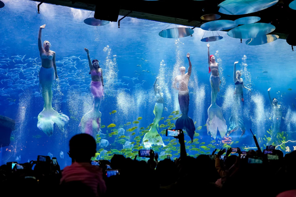 圆通山动物园水族馆图片