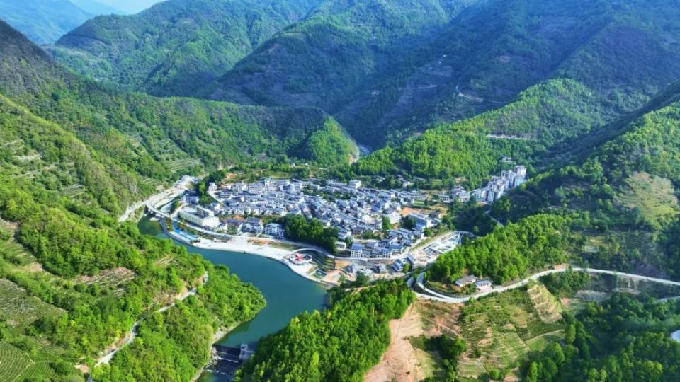 陇南武都:茶香引客来 "沏"出致富路