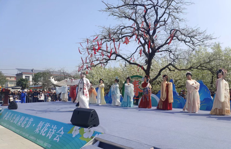 淮南寿县八公山梨花节梨花诗会开幕