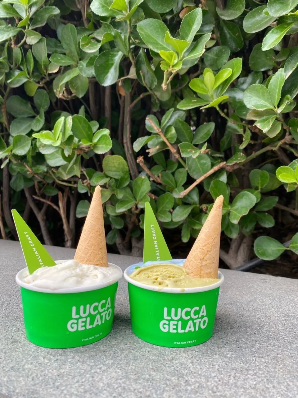 这六家高颜值冰品,为你打开冰淇淋的快乐宇宙  (内含独家福利)丨飨味