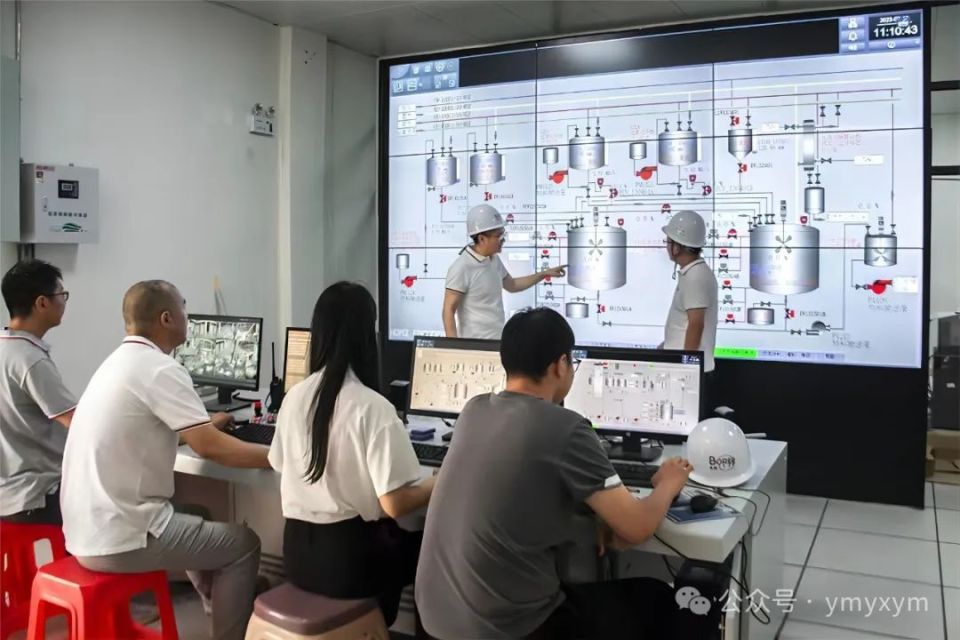 人大代表在行动 | 兴企不忘乡梓 倾心为民履职