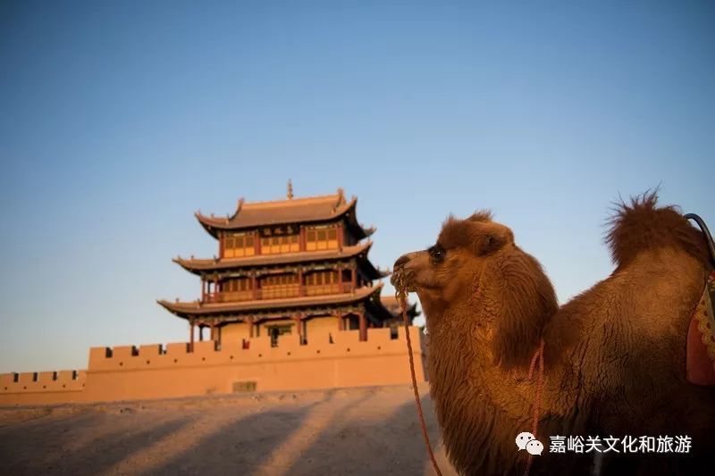 「嘉峪关旅游功略」嘉峪关 旅游攻略✅