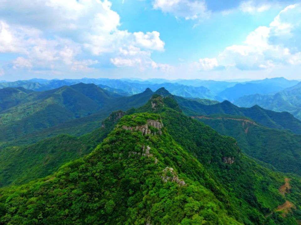 半价!畅游青州!