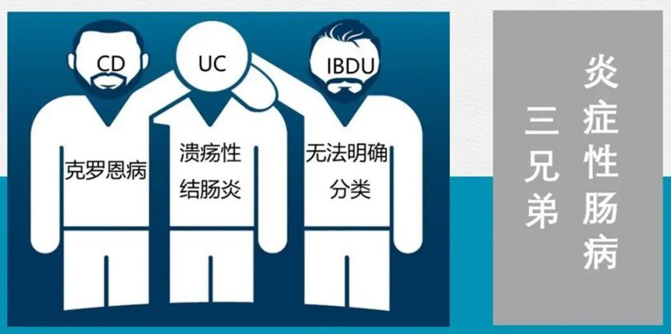 克羅恩病(crohns disease,cd)潰瘍性結腸炎(ulcerative colitis,uc)