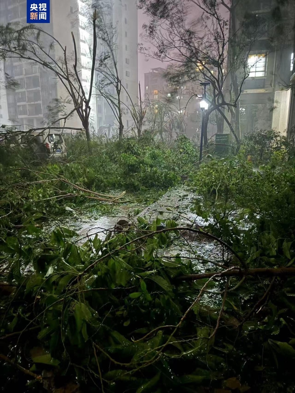 台风"摩羯"正在穿越海南岛,多地设施受损严重,海口市