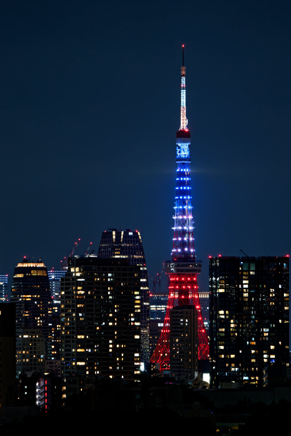 日本东京塔点亮三色灯迎奥运