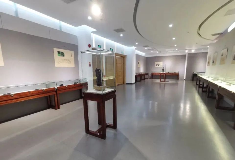 由金山区文旅局,金山区文物局,上海市收藏协会指导,由金山区博物馆