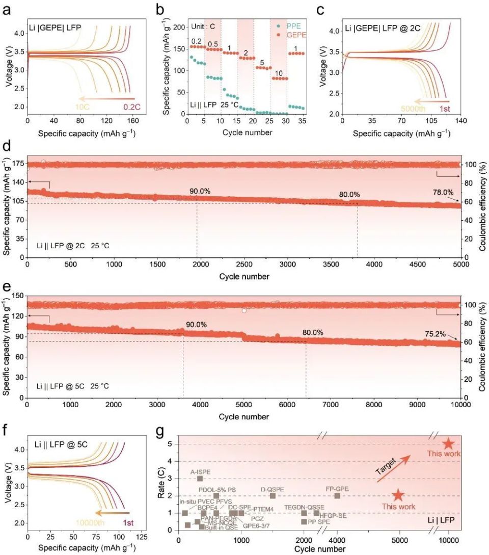 福州大学郑云教授、张久俊院士再发Angew：“基因编辑”助力共晶聚合物电解质实现超快锂离子传导-腾讯新闻