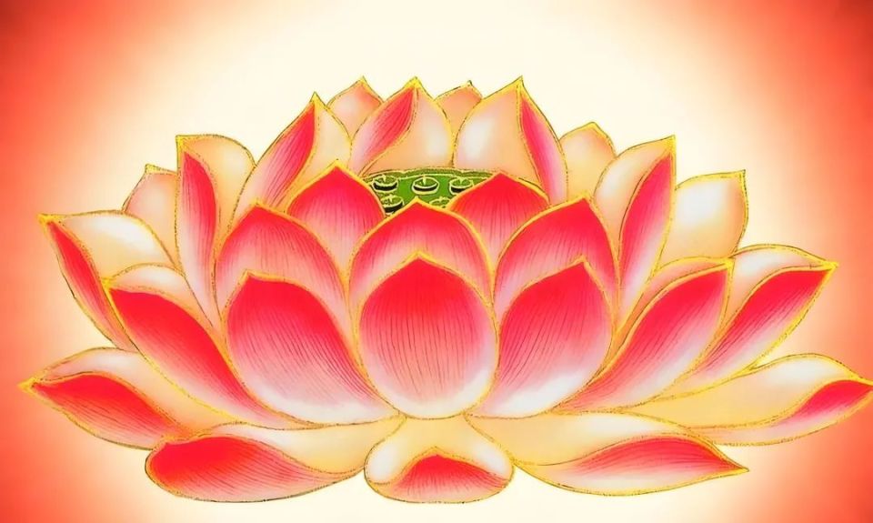 为何佛教爱用莲花而不是荷花?荷与莲两者之间到底有什么区别