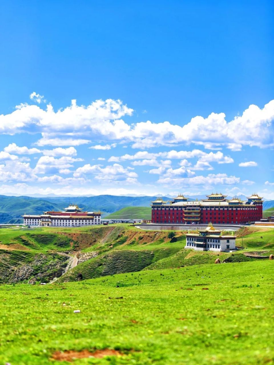 其实甘孜具备类似景观的地方并不少,最为人熟知的便是塔公草原