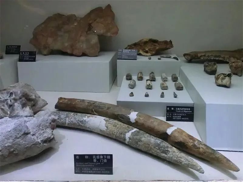走近元谋人丨这片土地，饱含怎样的文化？_腾讯新闻