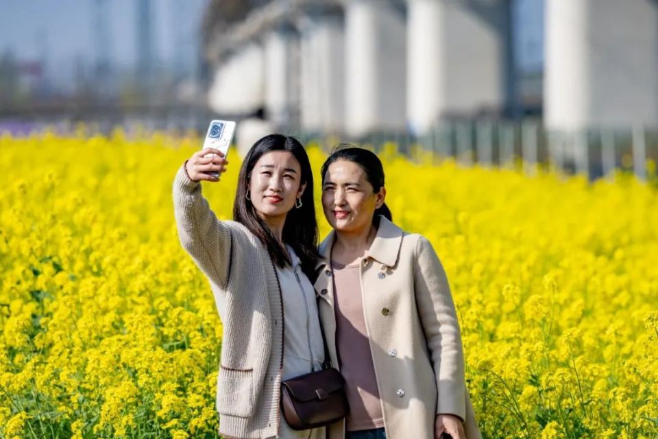 日照这里"藏"着一片花海!_腾讯新闻