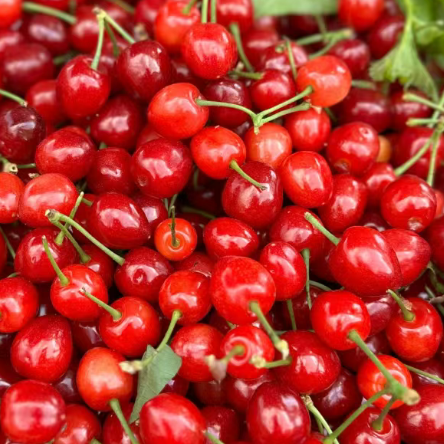 这种水果富含"天然褪黑素"!睡不着觉不妨吃点_腾讯新闻