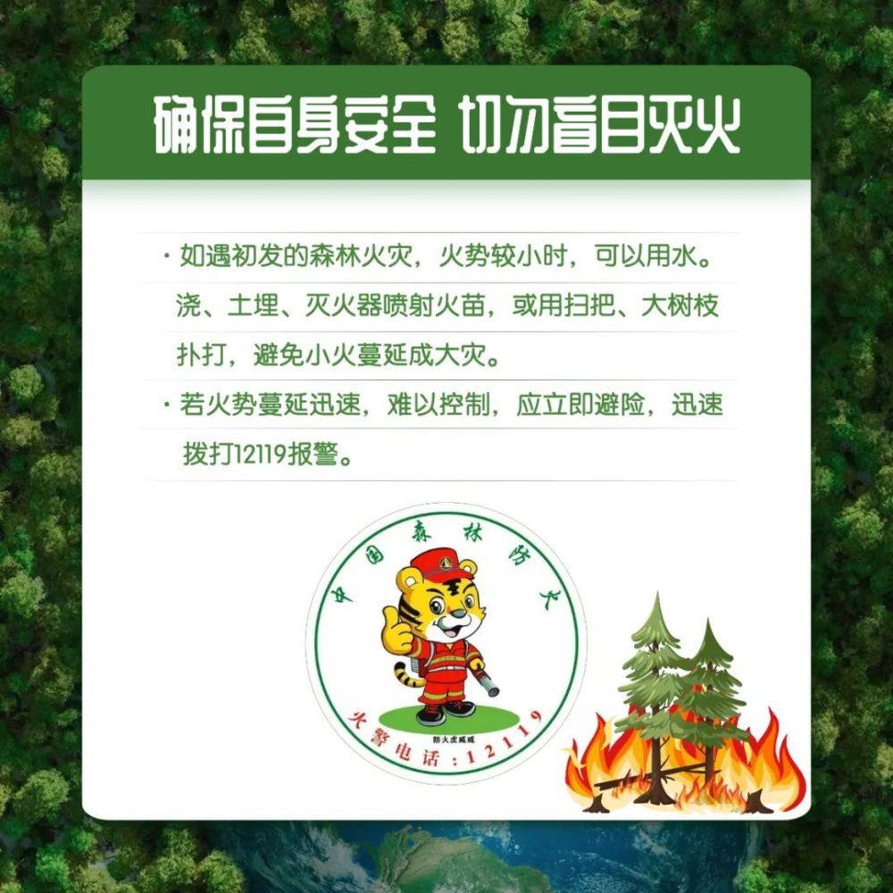 森林防火攻略