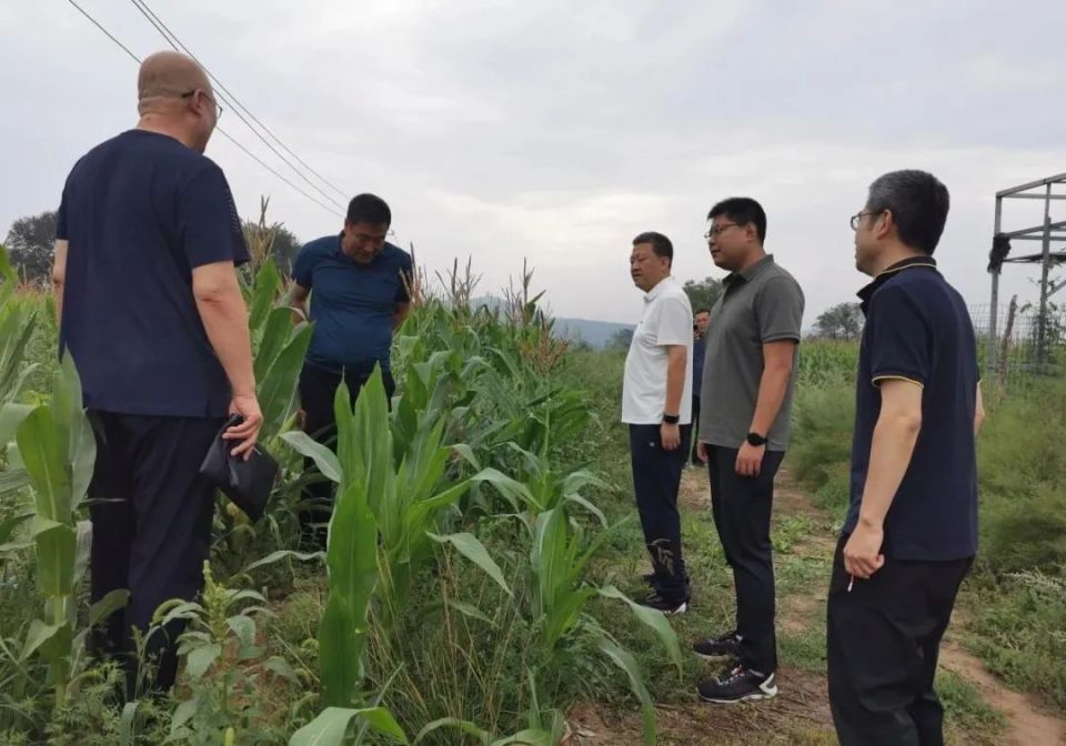 迎泽快讯丨共9条>>>快讯1>>>李敏带队调研托育服务工作