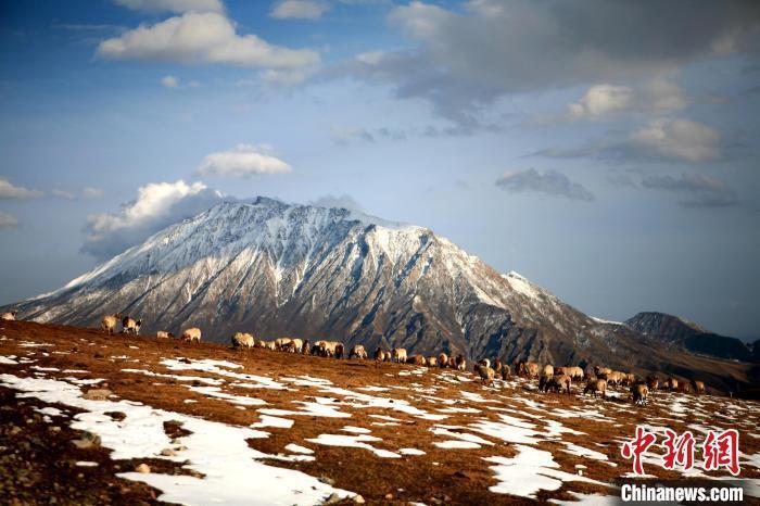 初春青海拉脊山雪后童话宛如仙境