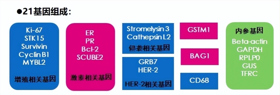 什么是21基因检测？适合所有乳腺癌患者吗？_腾讯新闻