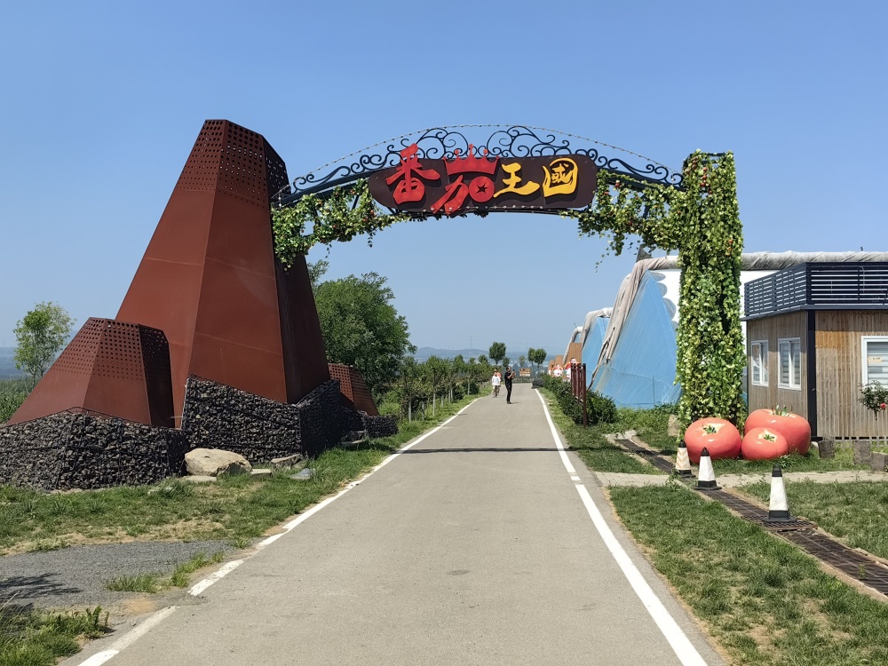 高质量发展调研行|"西红柿村"的振兴路——山东昌乐县唐家店子村见闻_