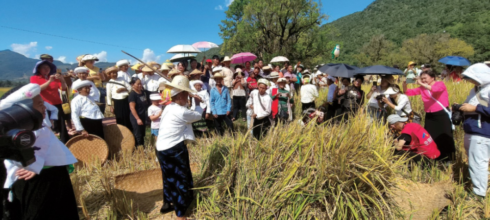 点赞云南省农文旅融合发展参考案例七十九临沧市耿马县勐撒镇芒见村