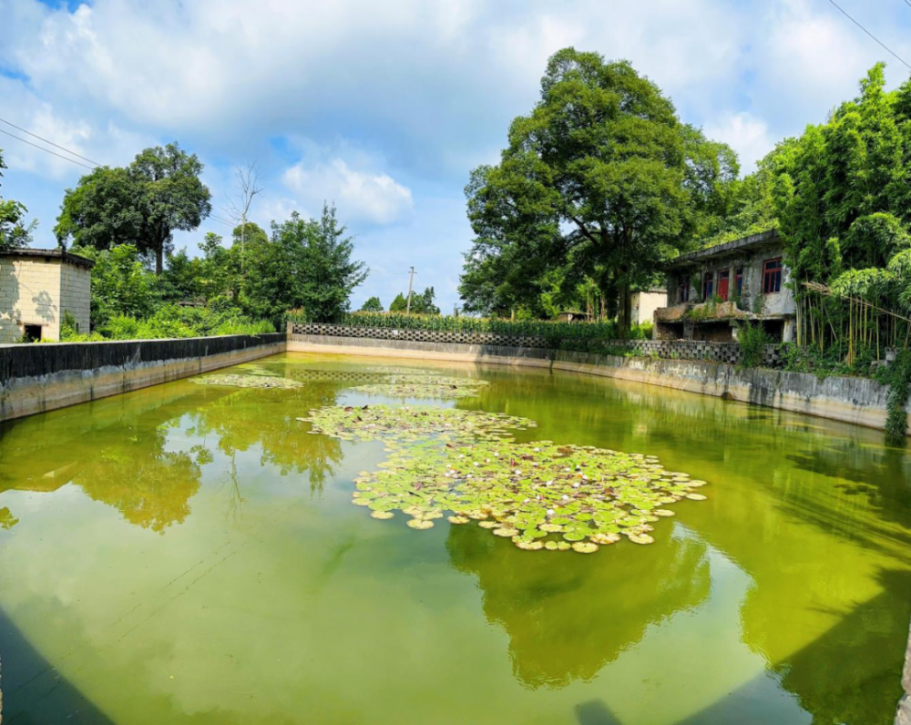 农村"五治" | 息烽县石硐镇:农村"五治"绘就"和美乡村"幸福底色