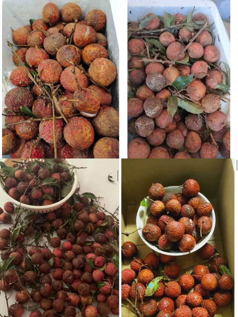 去年6月至7月,公司与德邦快递合作运输荔枝,同时跟当地的果农一起合伙