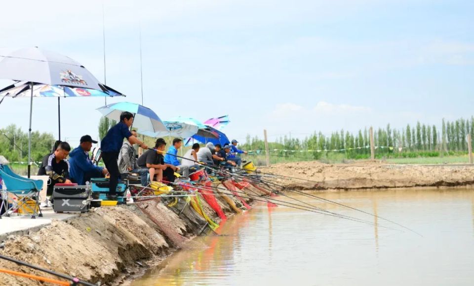 【乡村行 看振兴】新湖农场新建一家垂钓基地