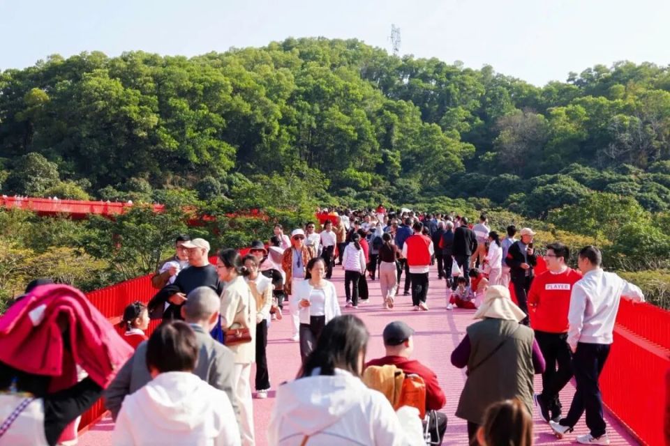又到一年“捡秋”时，来深圳虹桥公园解锁多元休闲生活_腾讯新闻