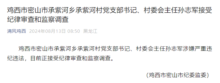 鸡西市密山市承紫河乡承紫河村党支部书记,村委会主任孙志军接受审查