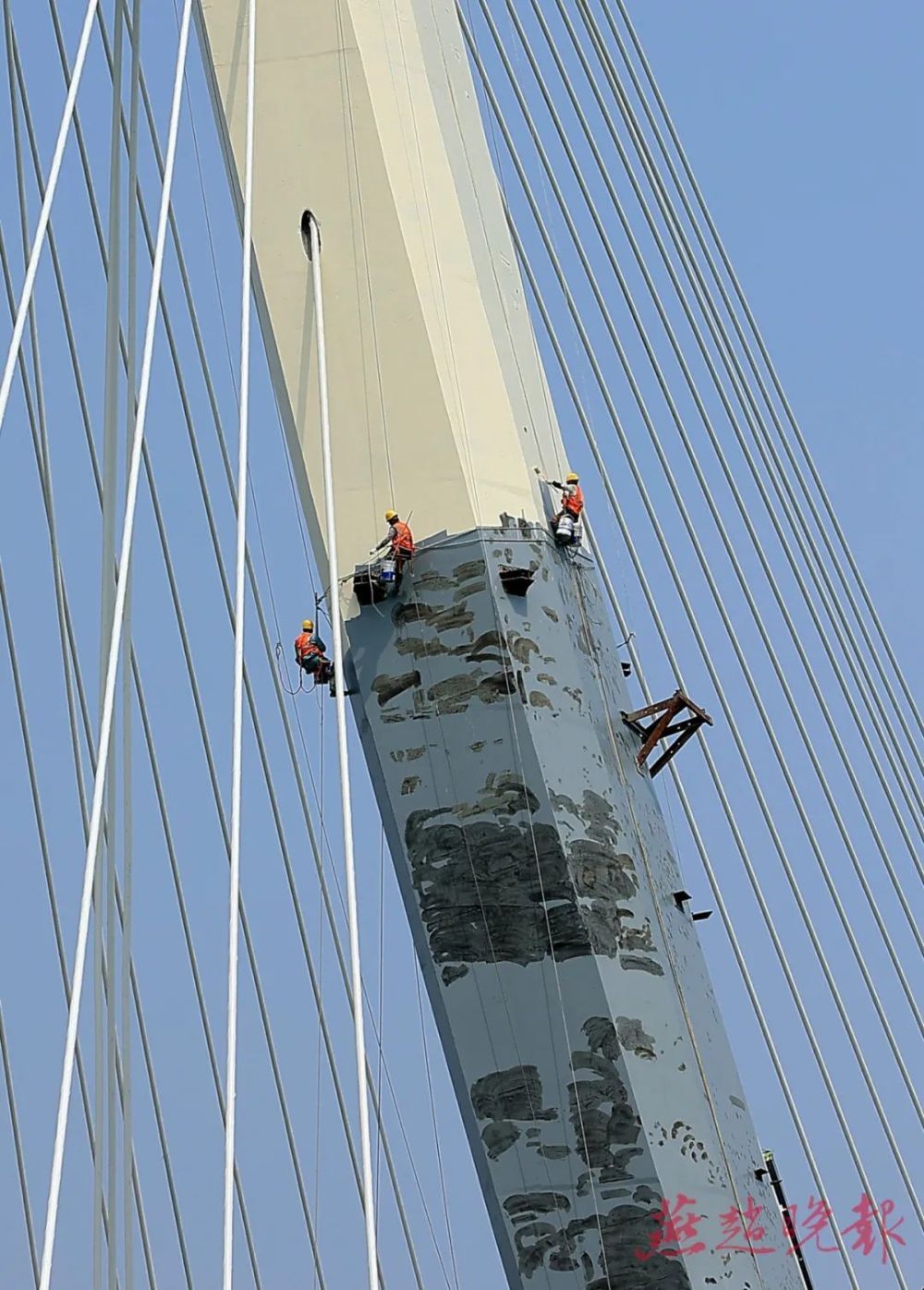 根根"琴弦"河上起 斜拉桥雄姿初现_腾讯新闻