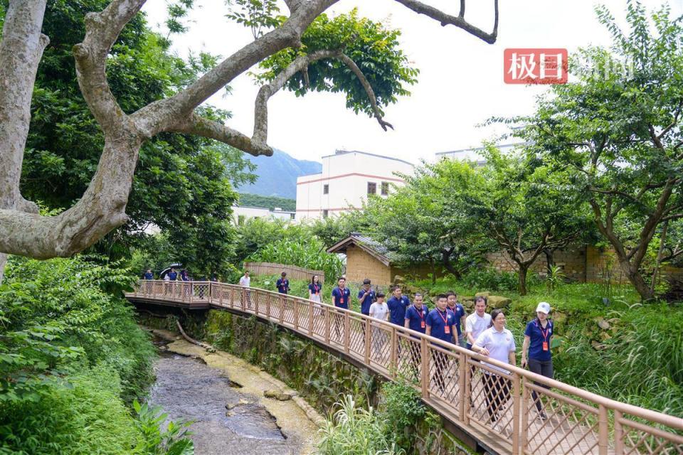 "百千万工程"看茂名|"中国李乡"信宜:高速公路串起15个农文旅景区