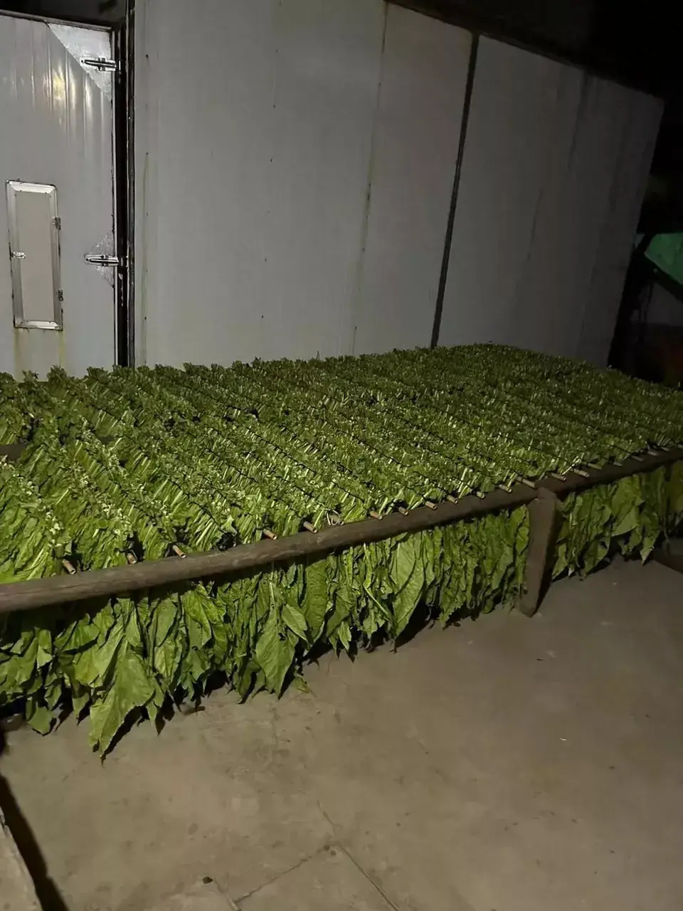 [南方生姜网-图片加载]