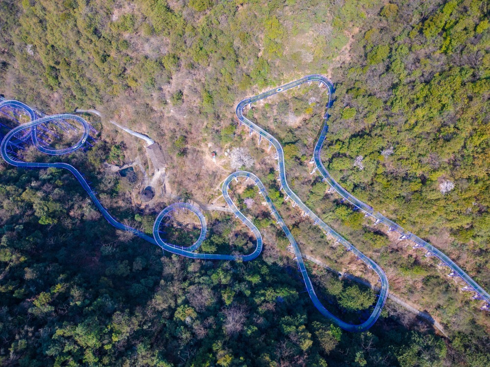 杭州野樱花进入盛放期,错过等一年,赶紧来桐庐天子地景区吧!